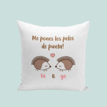 Cojín♥️ "Me pones los pelos de punta"